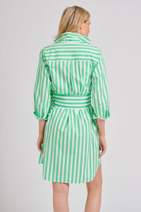 The Classic Shirt Dress - Green/White Stripe