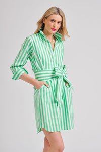 The Classic Shirt Dress - Green/White Stripe
