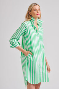 The Classic Shirt Dress - Green/White Stripe