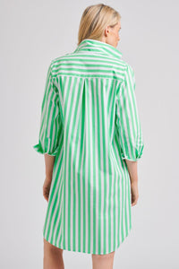 The Classic Shirt Dress - Green/White Stripe