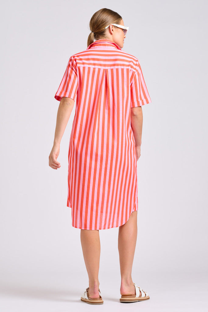 Shirty The Caitlin Dress - Pink Papaya Stripe